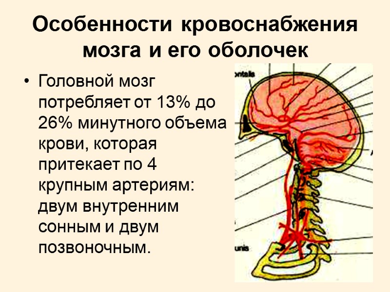 26 Особенности кровоснабжения мозга и его оболочек Головной мозг потребляет от 13% до 26%